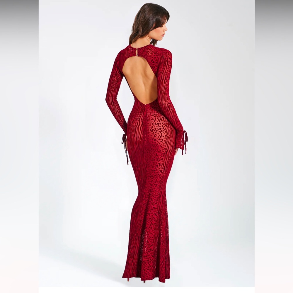 Waylynn Burnout Velvet Detail Mesh Backless Maxi Dress